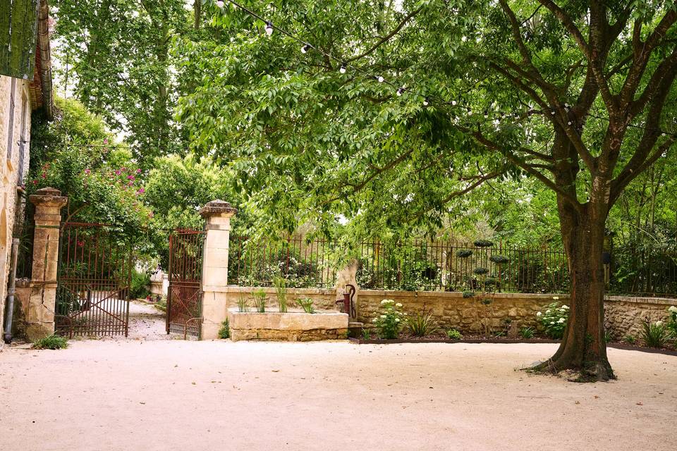Place sous micocoulier