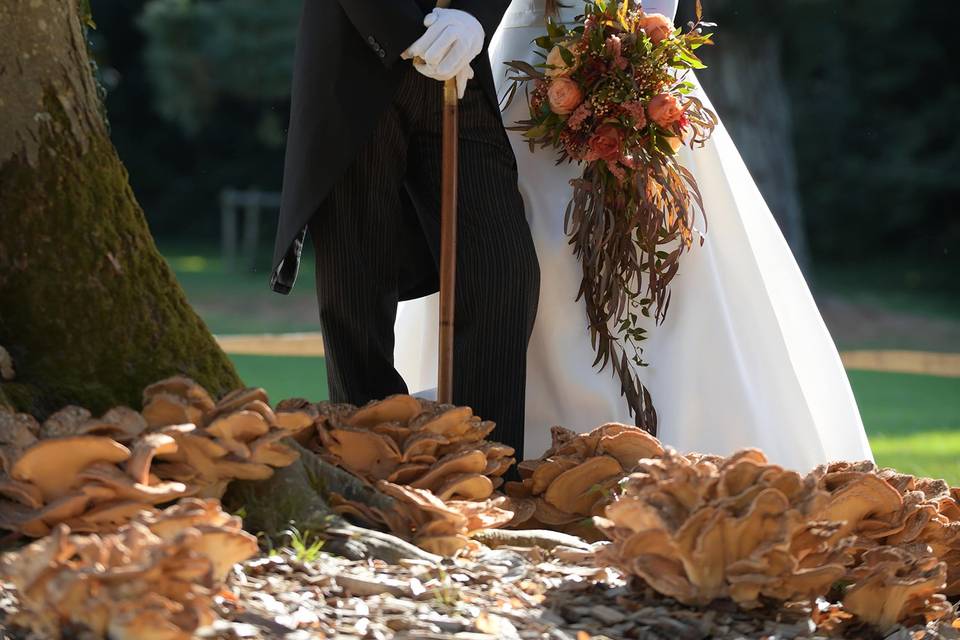Photo de mariage Rennes