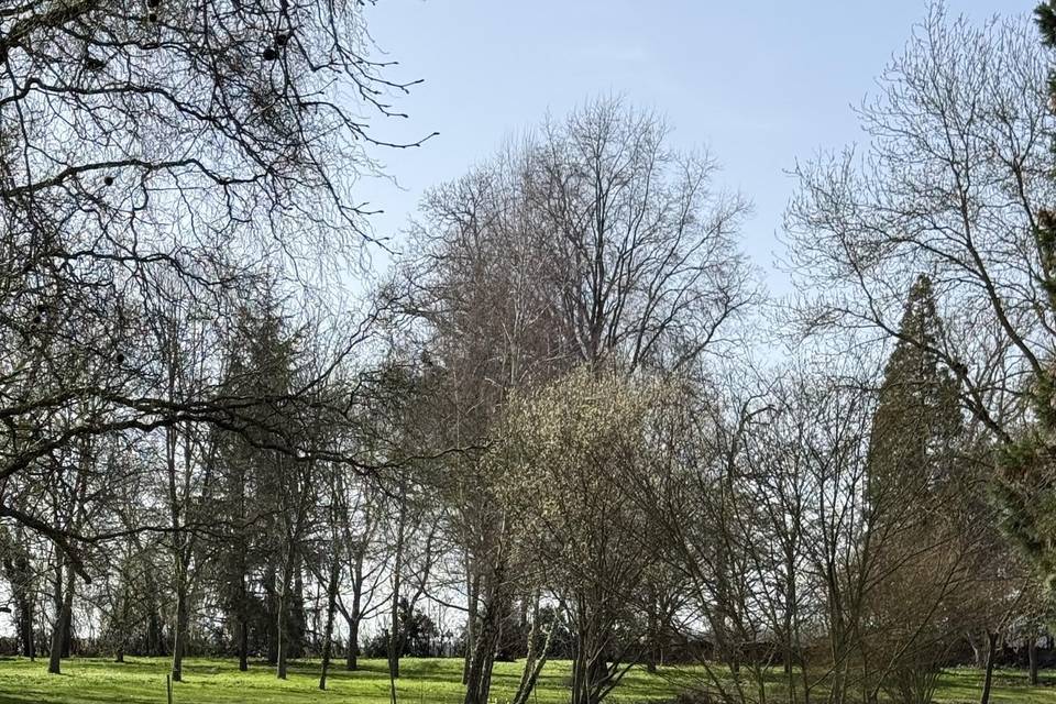Parc