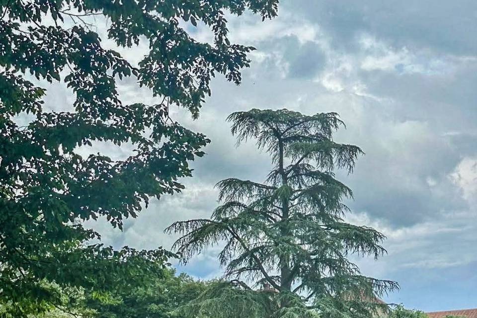 Au cœur de la nature