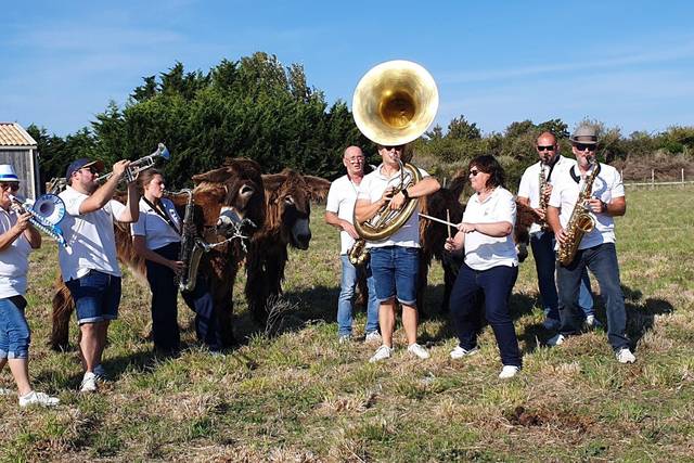Baudet Brass Pict'
