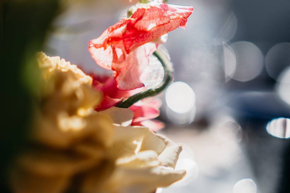 Fleurs