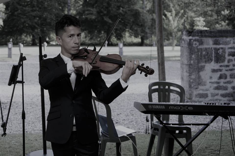 Vincent Gestermann : violon