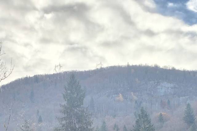 Vue avant du véhicule
