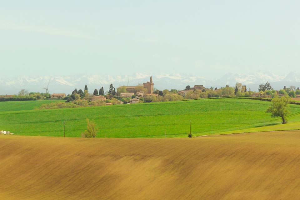 Panorama