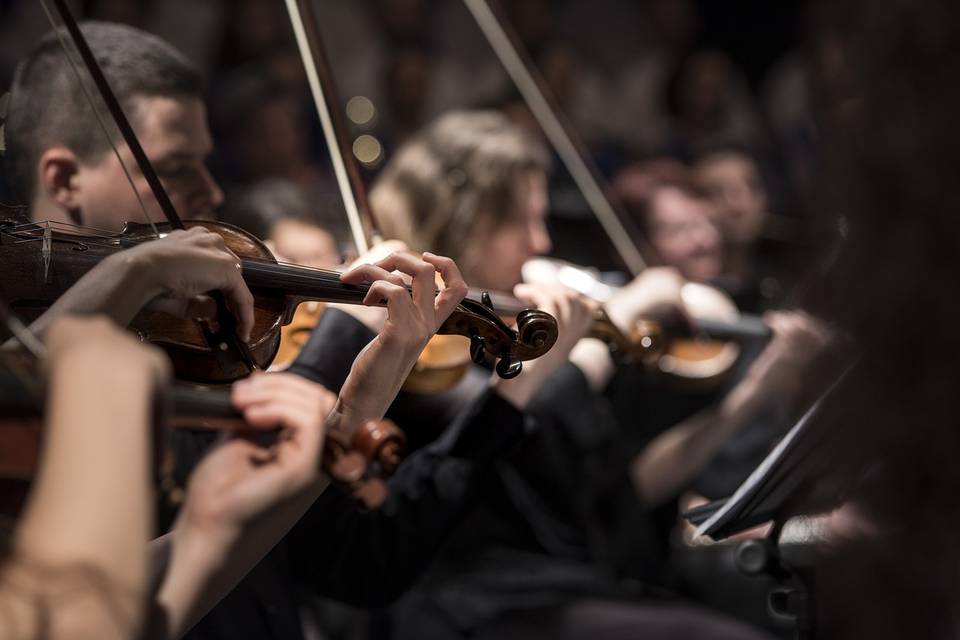 Musicienne au violon