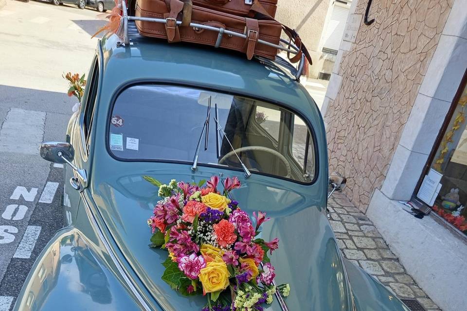 Capot de voiture