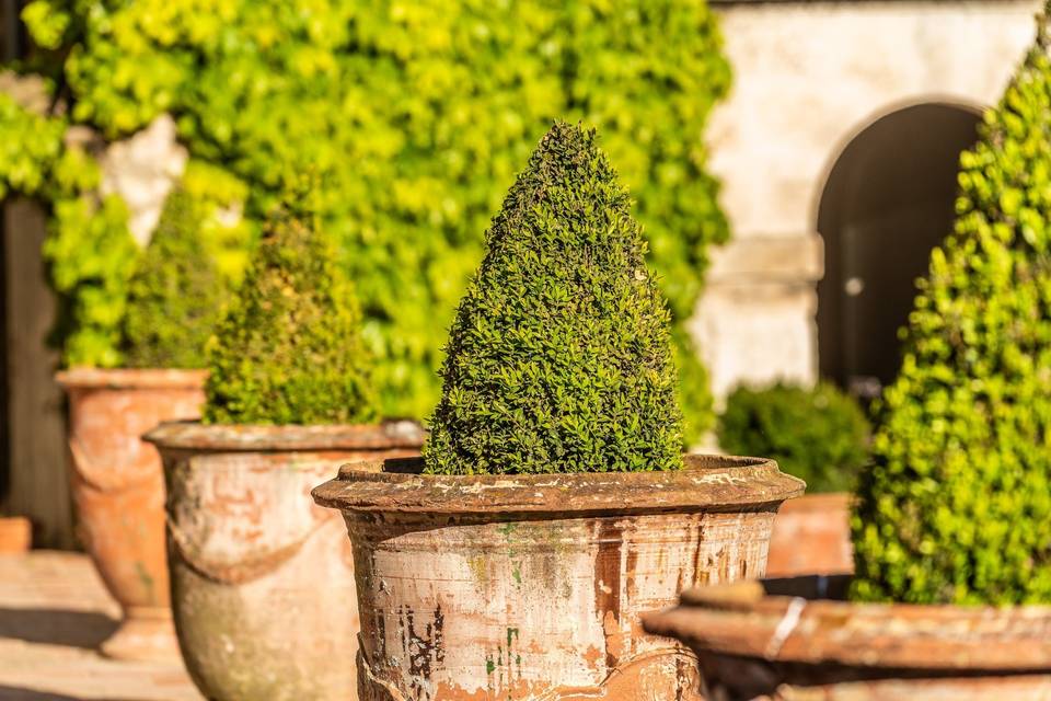 Détail de la terrasse