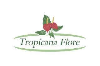 Tropicana Flore
