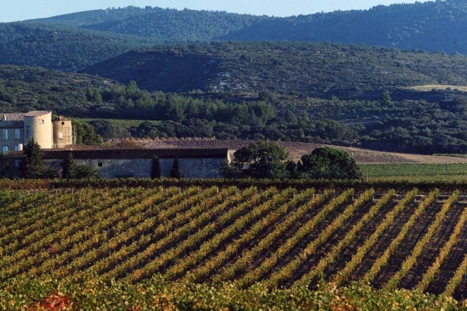 Le château en pleine nature