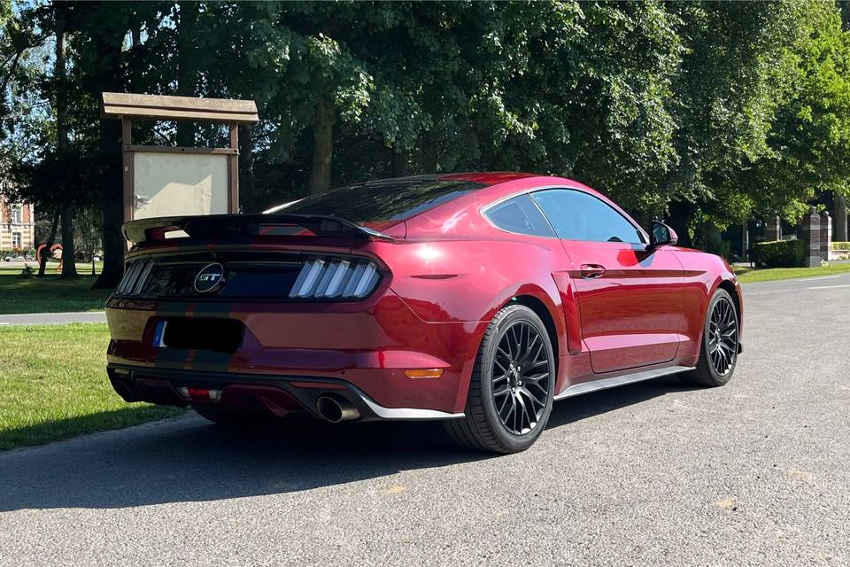 Arrière avec pack Shelby