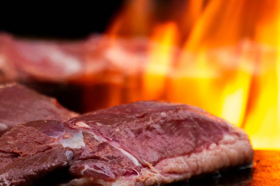 Magret de canard