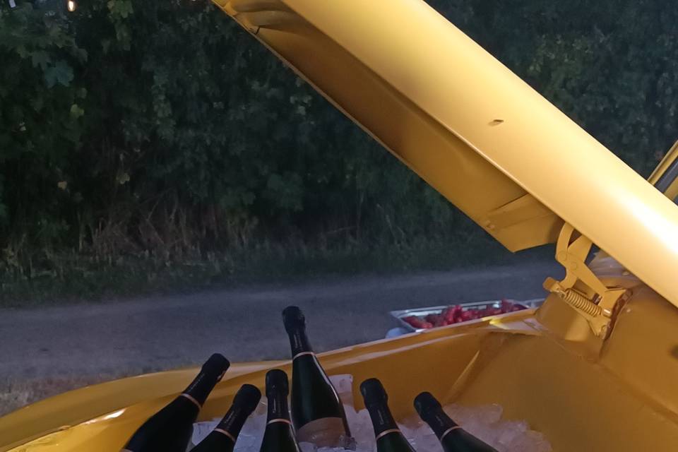 Bouteilles au frais