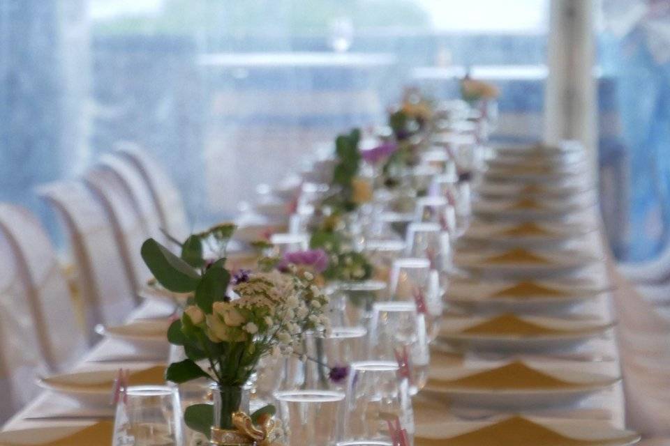 Mise en place de la vaisselle