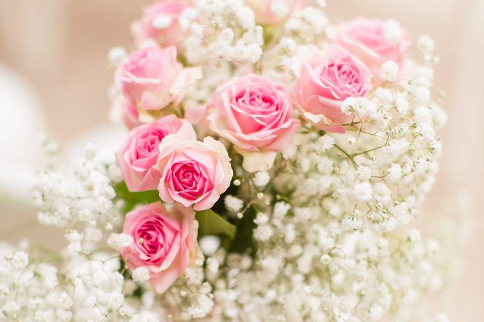 Rose et gypsophile