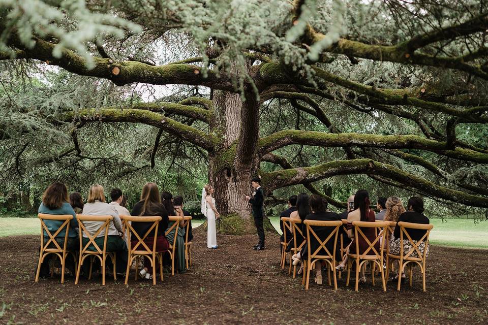 Mariage au Chateau de Siradan