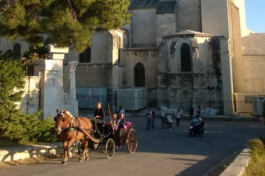 Palais des papes