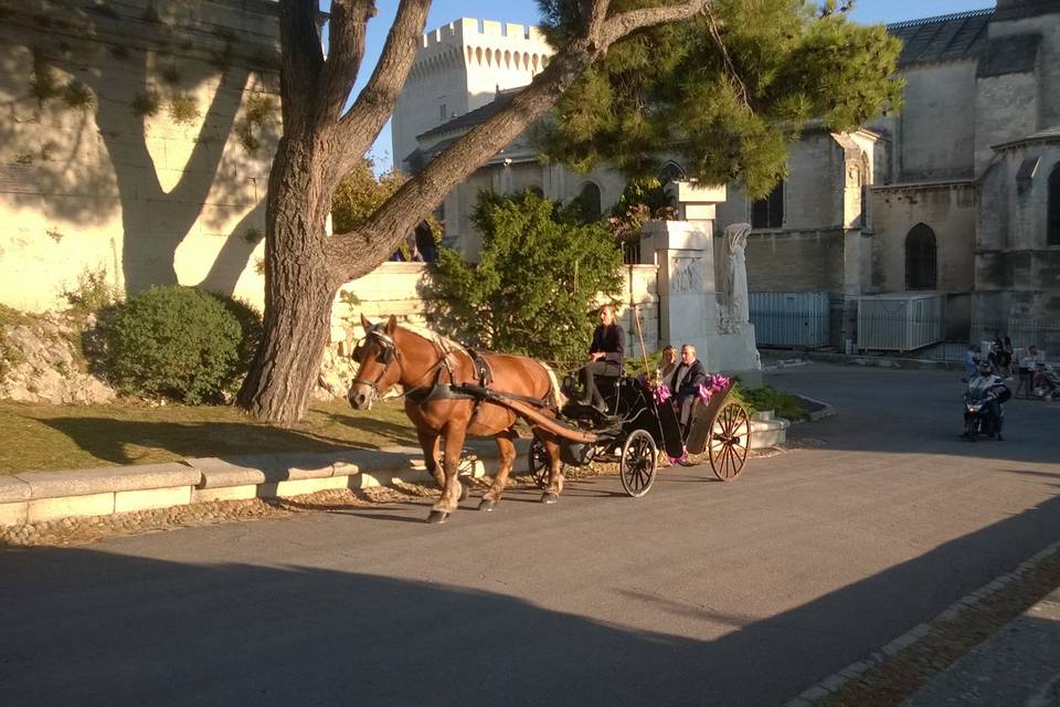 Monter rocher des doms