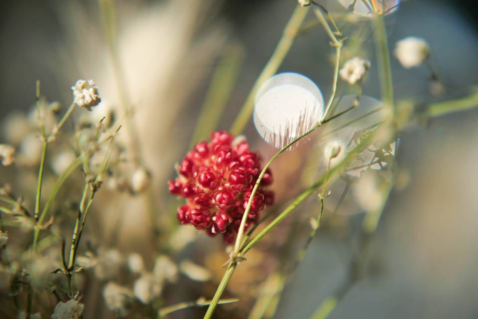 Décoration florale