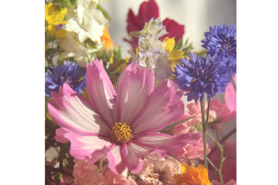Composition de Mariage