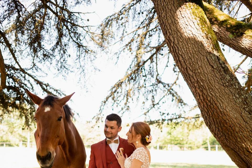 Photochevaux