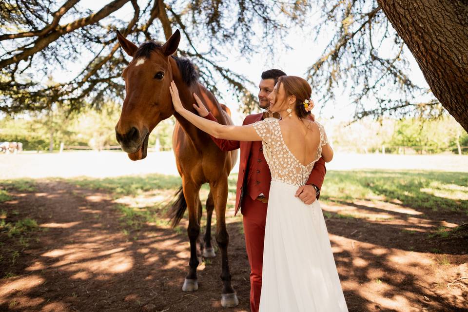 Photochevaux