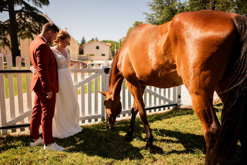 Photochevaux