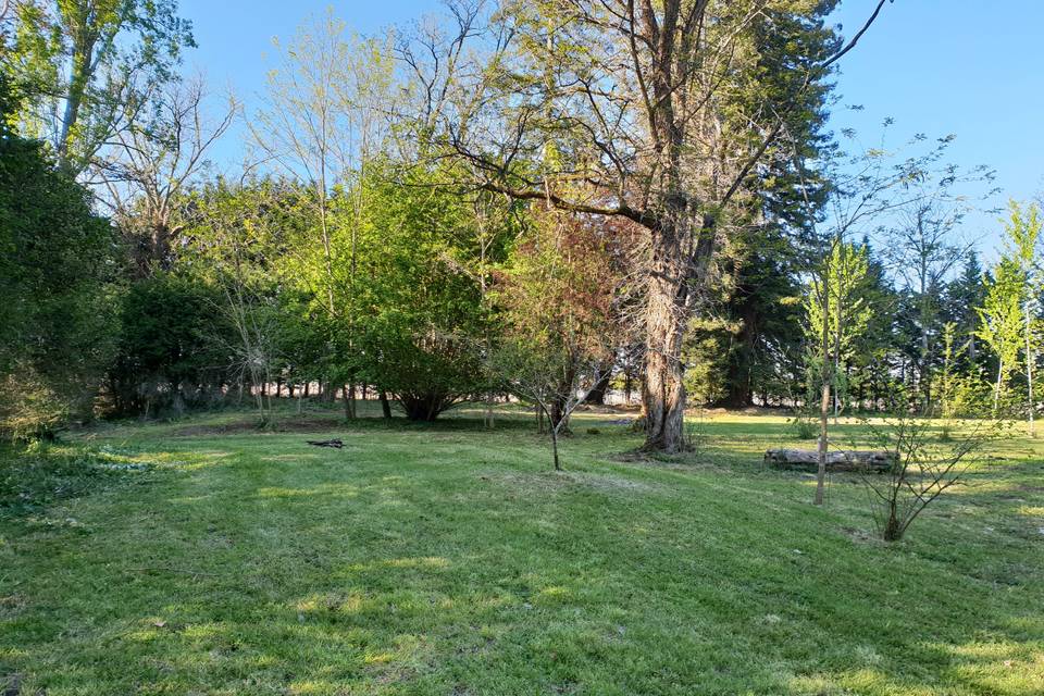 Vue du parc