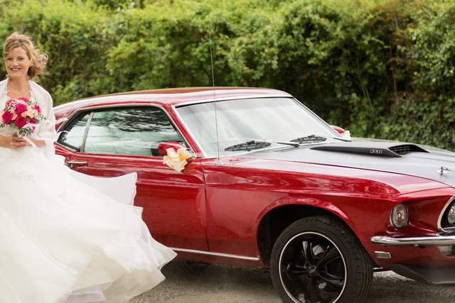 mustang
