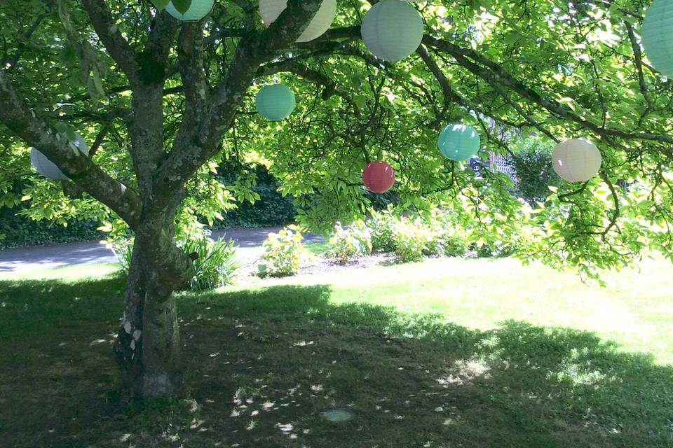 Le magnolia du parc