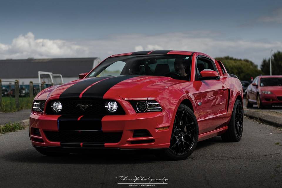 RedStang