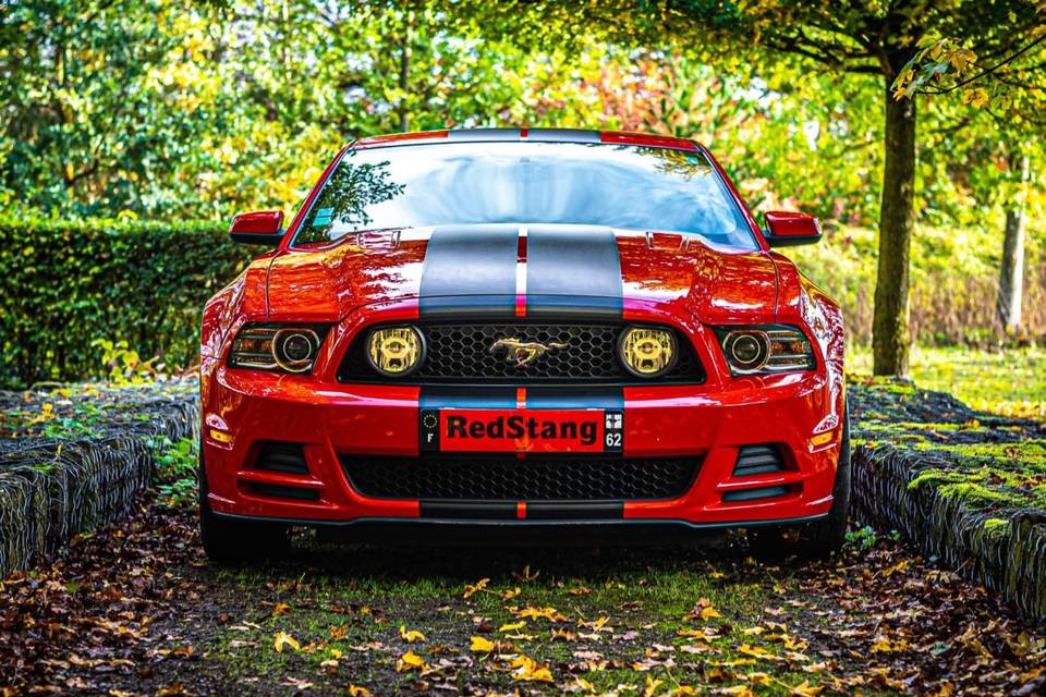 RedStang