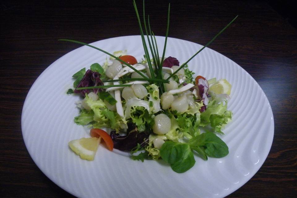 Salade aux petites St-Jacques