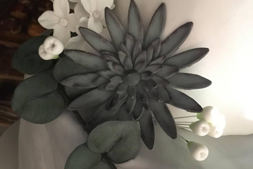 Succulente et eucalyptus