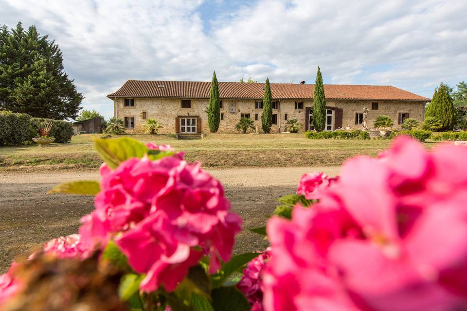 Château Saint Germé: le parc