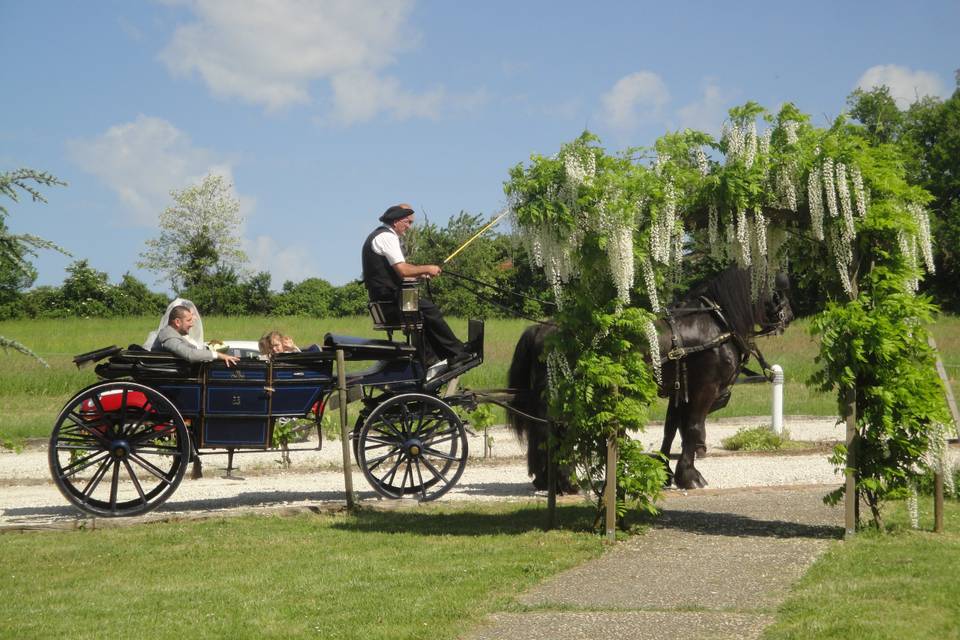 Château Courtade-Dubuc