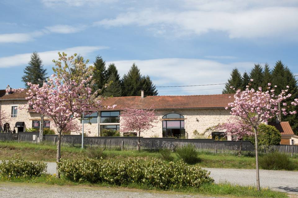 Le Clos des Cèdres