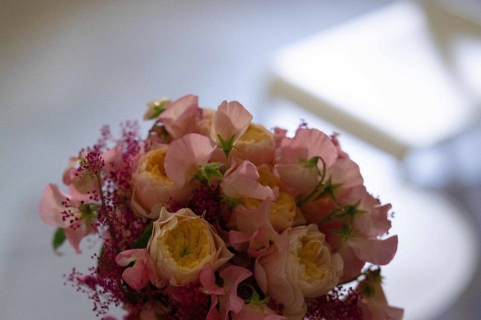 Les Fleurs d'Aqui
