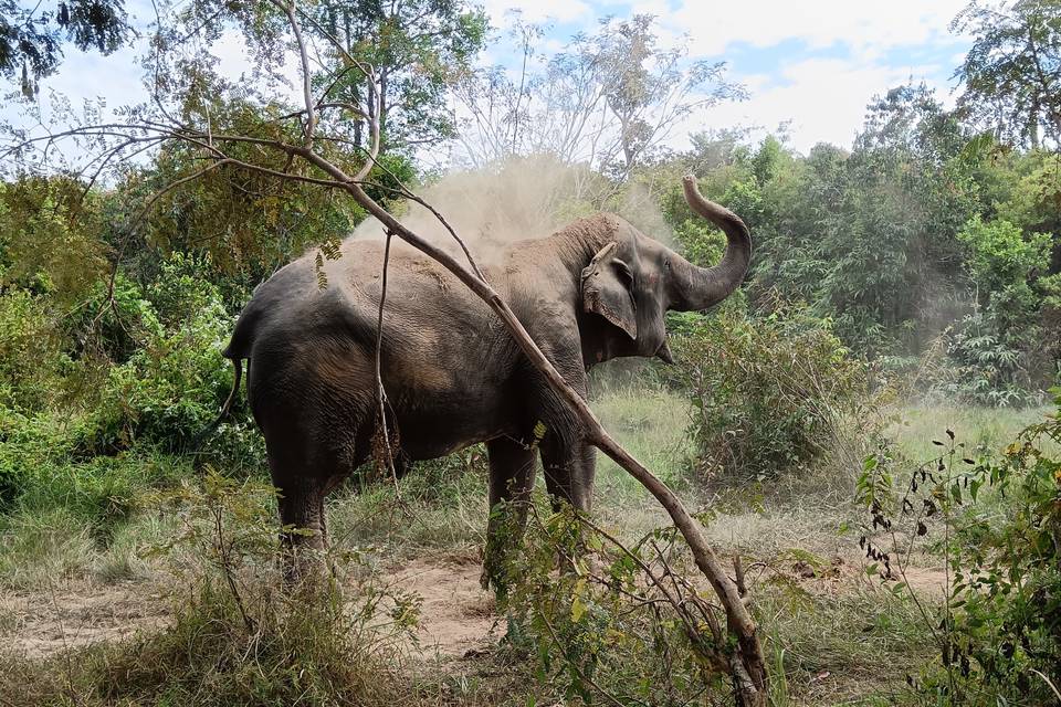 Cambodge