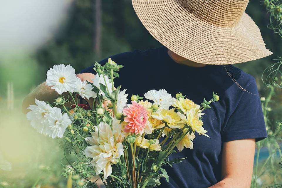 Terriennes