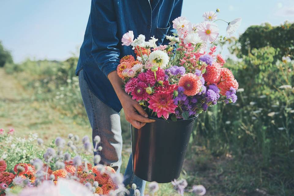 Terriennes