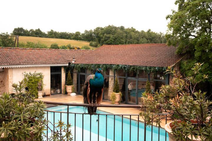 Mariage - Lieux