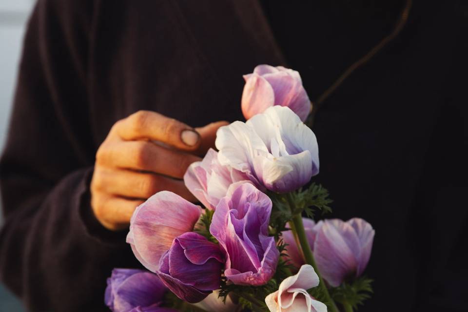 Terriennes