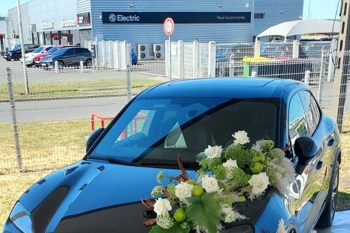 Dessus de voiture