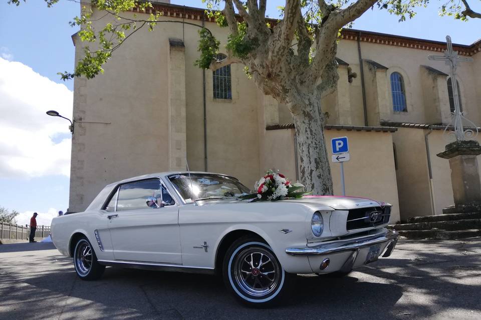 Ford Mustang v8