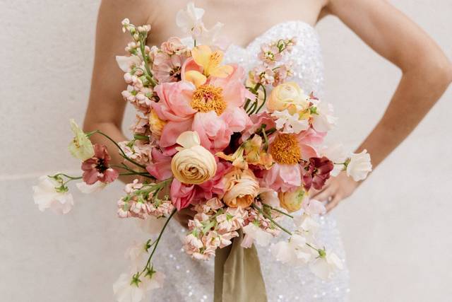 Rosae Mambo