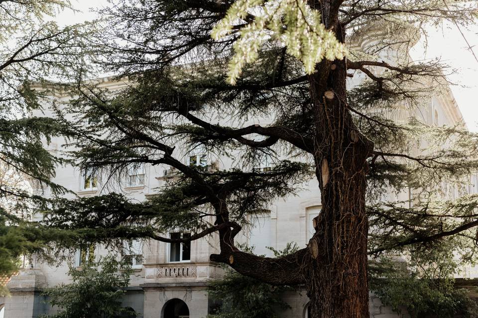 Parc