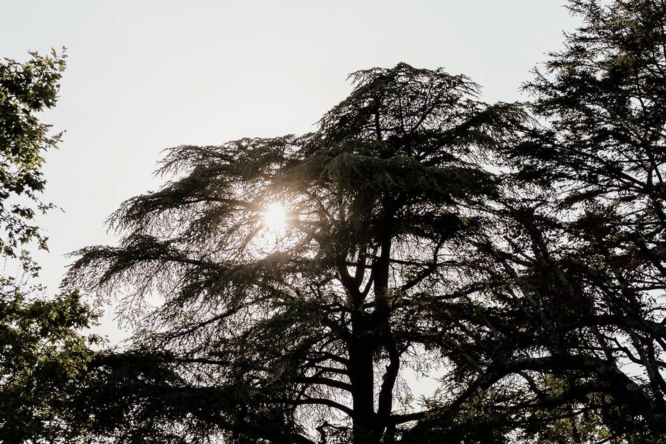 Parc