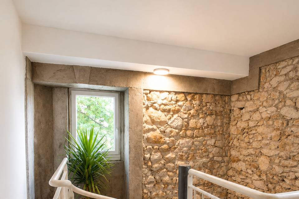 Gîte Acanthe
