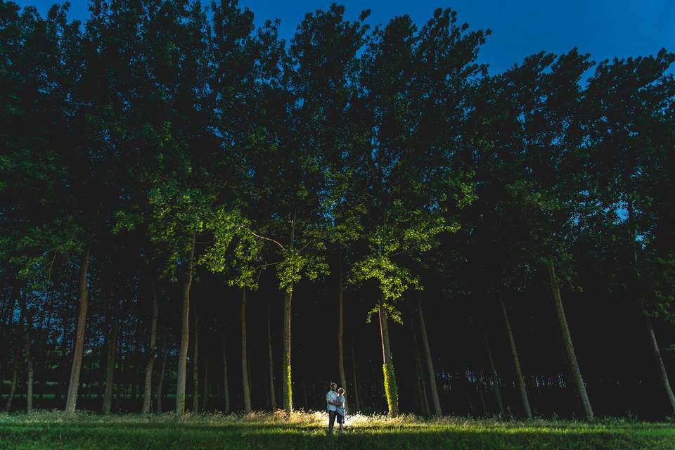 Séance engagement forêt de nui